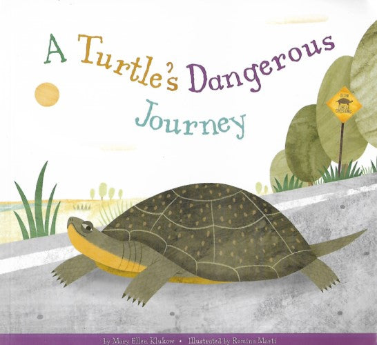 A Turtle's Dangerous Journey