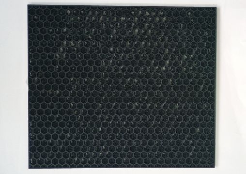 Coway Airmega Air Purifier Replacement Filter Set