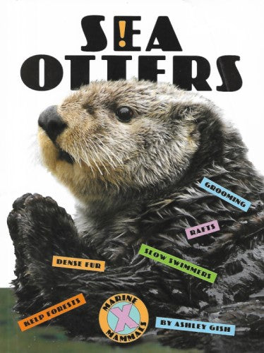 Marine Mammals: Sea Otters