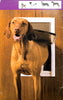 PetSafe Classic Dog Door Replacement Flap, Large