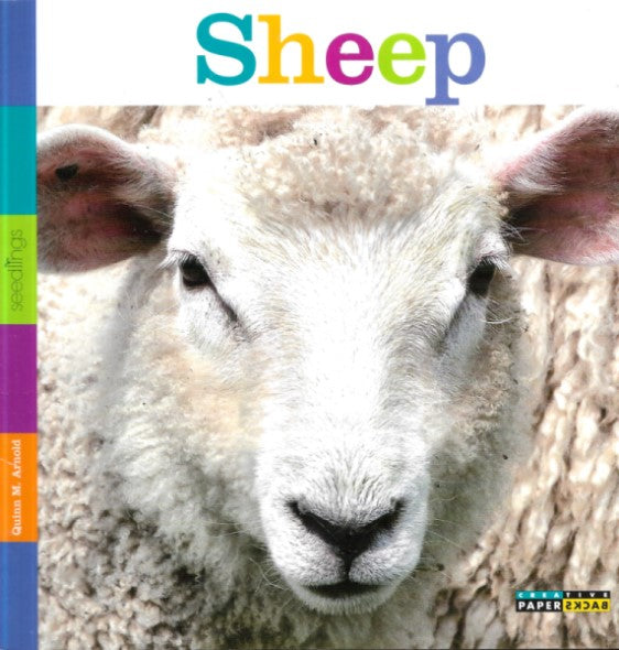 Sheep
