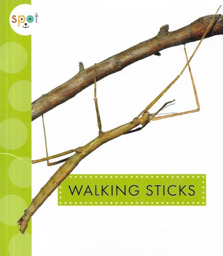 Walking Sticks