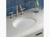 Kohler K-2209-0 Caxton Oval 15" Undermount Bathroom Sink, White