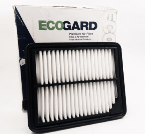 Ecogard XA10221 Air Filter