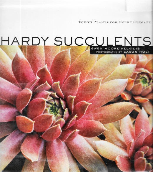 Hardy Succulents: Tough Plants for Every Climate