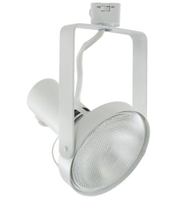 Liteline ALEXIS Line Voltage Track Fixture for PAR38 Lamps, White