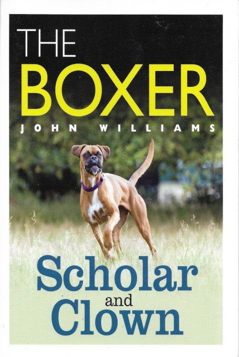 The Boxer Scholar And Clown